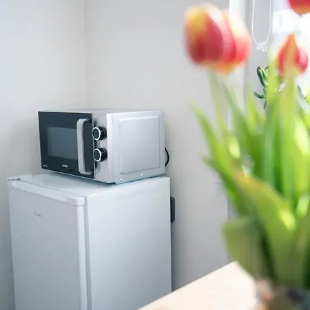 Ubytovani Na Samote - Apartman U Tesaru Komarice Exterior photo